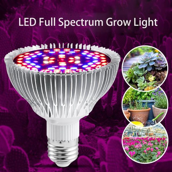 grow lights led phytolamp full spectrum e27 e26 lamp holder 28w 30w 50w indoor lighting green house seedling nursery succulent plant fill
grow lights led phytolamp full spectrum e27 e26 lamp holder 28w 30w 50w indoor lighting green house seedling nursery succulent plant fill