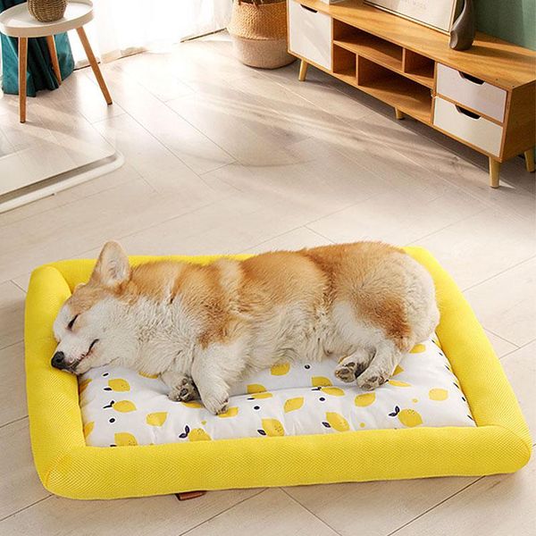 cat beds & furniture summer cool pad sofa breathable pets bed washable sleep cooling heat dissipation for dogs cats kennel silk
cat beds & furniture summer cool pad sofa breathable pets bed washable sleep cooling heat dissipation for dogs cats kennel silk