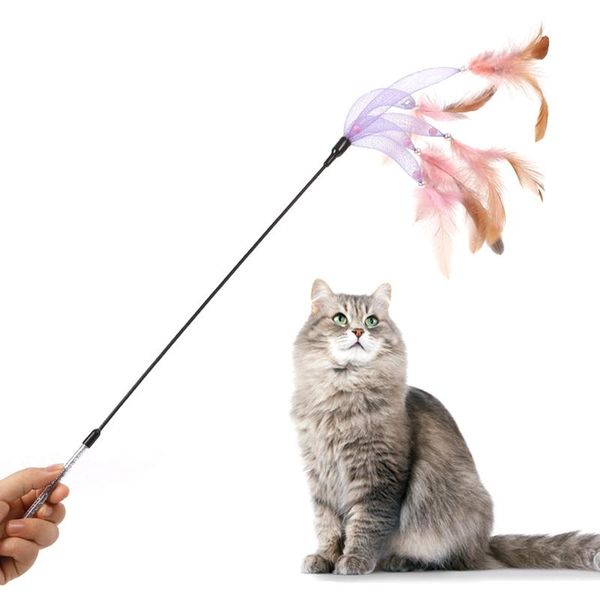 cat toys 1pc interactive toy stick feather wand with small fake pearl decor plastic artificial colorful teaser supplies
cat toys 1pc interactive toy stick feather wand with small fake pearl decor plastic artificial colorful teaser supplies