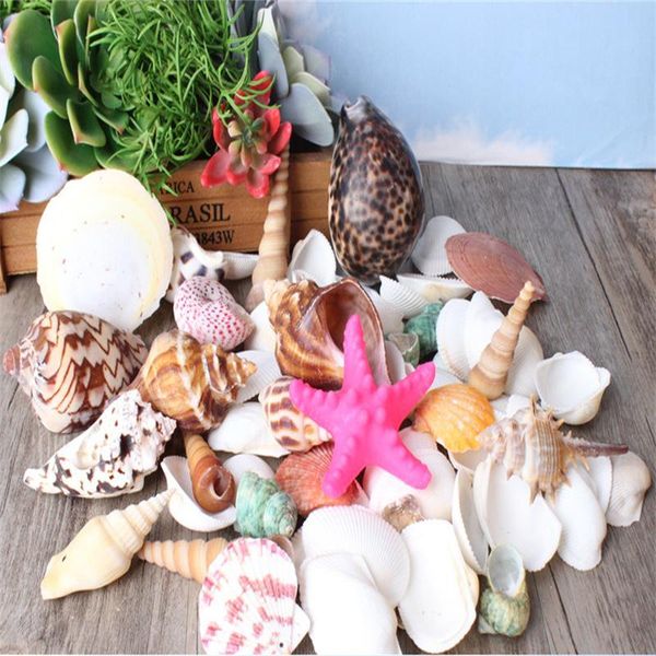 500g /bag beach seashells mix sea shells shell nature seashell aquarium nautical decoration novelty items
500g /bag beach seashells mix sea shells shell nature seashell aquarium nautical decoration novelty items