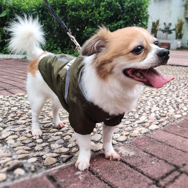 foldable dog raincoat jumpsuit rain coat waterproof small medium resistant clothes hood with puppy windproof jacket zh760 apparel
foldable dog raincoat jumpsuit rain coat waterproof small medium resistant clothes hood with puppy windproof jacket zh760 apparel