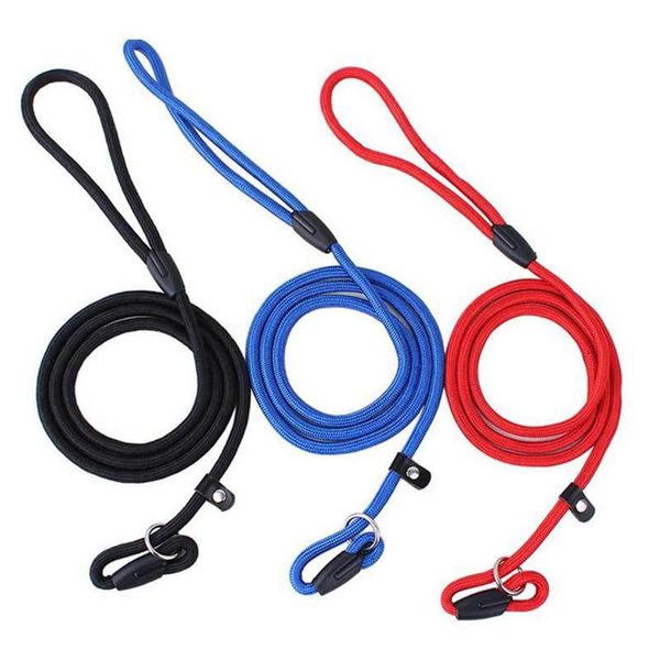 dog collars & leashes leash for dogs heavy duty rope with reflective threads padded handle small harness outdoor summer withstand mayo6
dog collars & leashes leash for dogs heavy duty rope with reflective threads padded handle small harness outdoor summer withstand mayo6