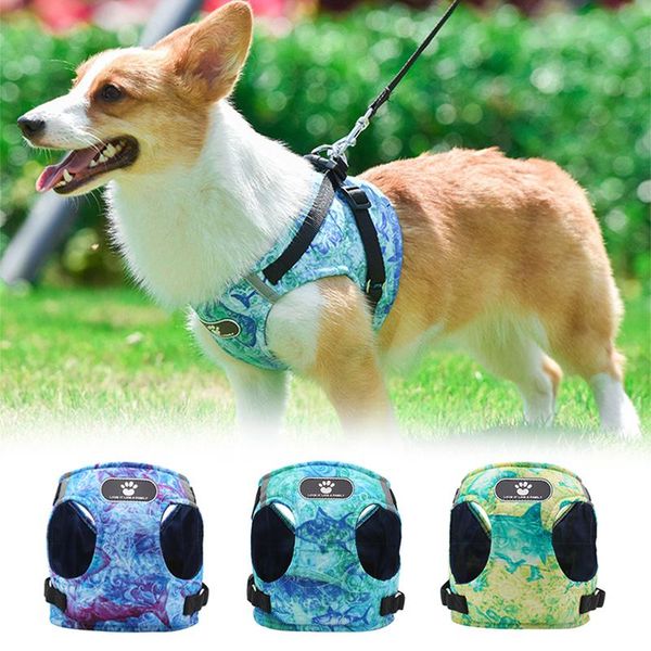 reflective dog harness puppy cat vest collar with leash set pet for small medium large dogs adjustable outdoor collars & leashes
reflective dog harness puppy cat vest collar with leash set pet for small medium large dogs adjustable outdoor collars & leashes