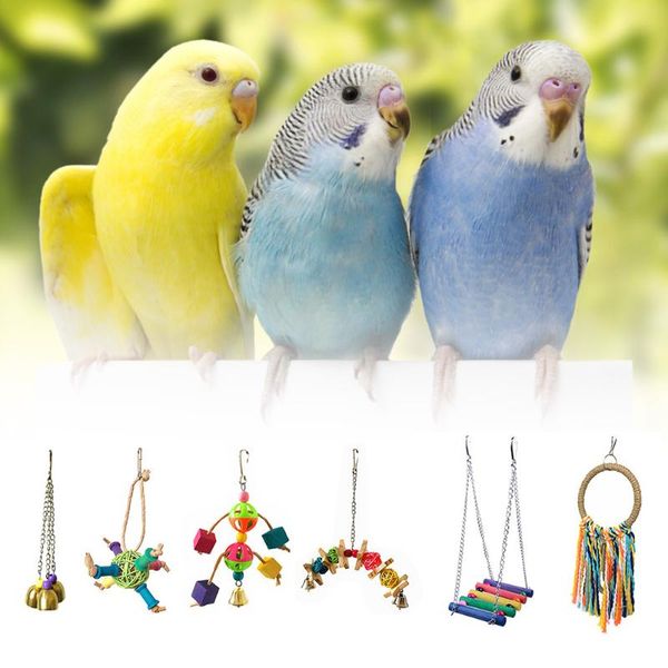 other bird supplies 6pcs hanging bell hammock swing ring stand cotton rope chewing parrot toy set bite wooden ball toys
other bird supplies 6pcs hanging bell hammock swing ring stand cotton rope chewing parrot toy set bite wooden ball toys