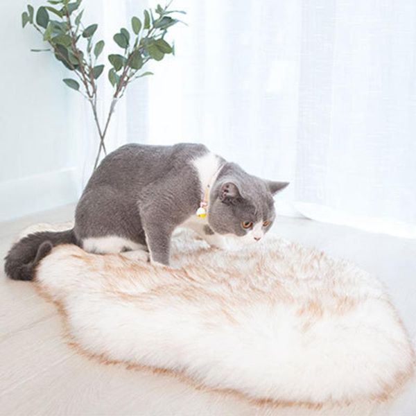 cat beds & furniture long plush pet dog bed blankets fluffy mats deep sleeping soft winter thin covers for large dogs solid cats mattress
cat beds & furniture long plush pet dog bed blankets fluffy mats deep sleeping soft winter thin covers for large dogs solid cats mattress
