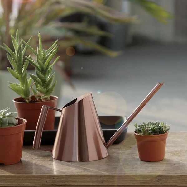 watering equipments 1 piece 400ml stainless steel long spout jug gardening tool 23.5*13cm
watering equipments 1 piece 400ml stainless steel long spout jug gardening tool 23.5*13cm