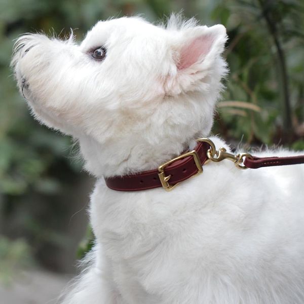 handmade oiled leather dog collar natural plant dyeing for puppies cats retro environmental supplies pet products collars & leashes
handmade oiled leather dog collar natural plant dyeing for puppies cats retro environmental supplies pet products collars & leashes