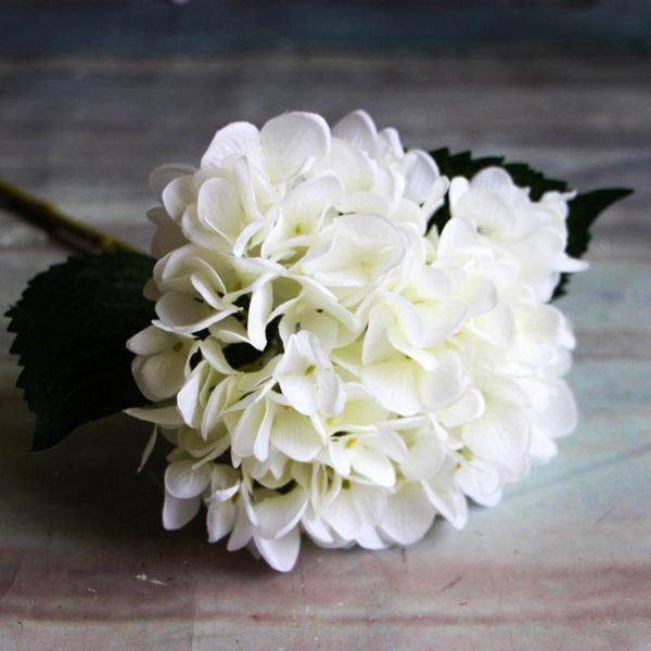 single french jade hydrangea artificial flowers home office decoration landscaping color health party man made v decorative & wreaths
single french jade hydrangea artificial flowers home office decoration landscaping color health party man made v decorative & wreaths