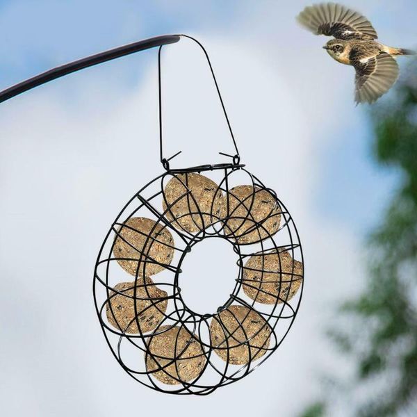 other bird supplies metal garden hanging round shape outdoor sturdy wild cage fat ball refillable feeder home practical container
other bird supplies metal garden hanging round shape outdoor sturdy wild cage fat ball refillable feeder home practical container