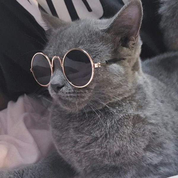 cat costumes pet glasses costume sunglasses round funny fashion props dog supply products
cat costumes pet glasses costume sunglasses round funny fashion props dog supply products