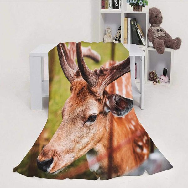 Fallow Deer Portrait,Blanket Throw Weight Super Soft Cozy Luxury Bed Blanket 70''x80''(WxL)
Fallow Deer Portrait,Blanket Throw Weight Super Soft Cozy Luxury Bed Blanket 70''x80''(WxL)