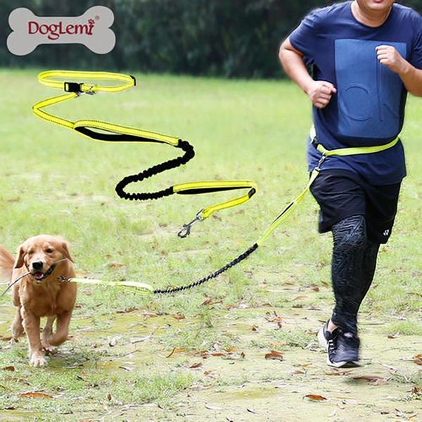 dog collars & leashes leash harness collar running nylon hand y pet dogs products jogging lead adjustable waist traction belt rope
dog collars & leashes leash harness collar running nylon hand y pet dogs products jogging lead adjustable waist traction belt rope