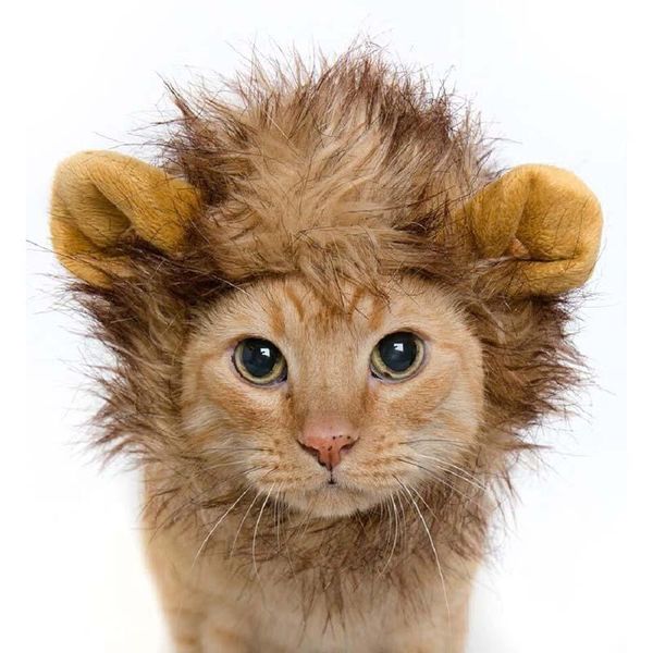 dog apparel pet cat emulation lion hair mane ears head cap autumn winter dress up costume muffler scarf-
dog apparel pet cat emulation lion hair mane ears head cap autumn winter dress up costume muffler scarf-