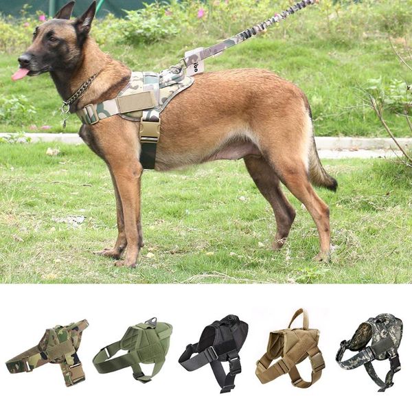 dog collars & leashes tactical harness military k9 working collar service vest with handle for training hiking outdoor
dog collars & leashes tactical harness military k9 working collar service vest with handle for training hiking outdoor