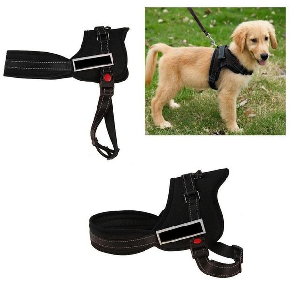 dog collars & leashes padded vest harness soft strong nylon no-pull outdoor, park, street, etc. pet adjustable patchwork
dog collars & leashes padded vest harness soft strong nylon no-pull outdoor, park, street, etc. pet adjustable patchwork