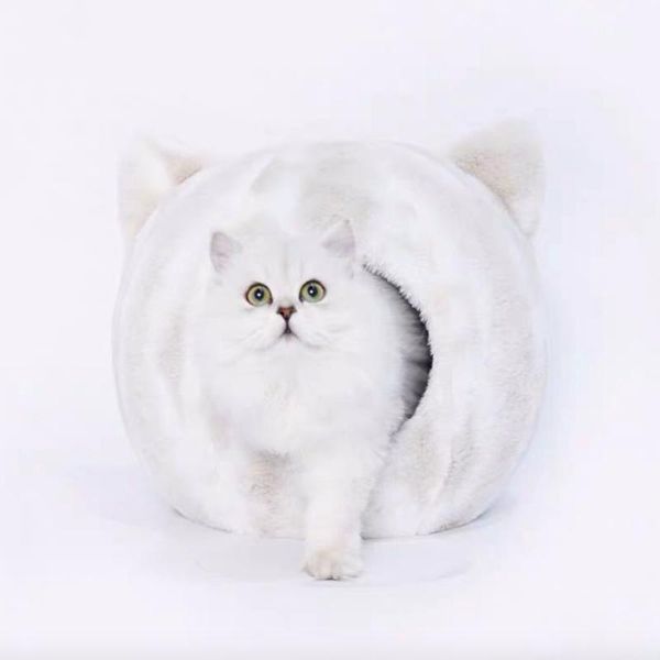 cat beds & furniture lovely cute warm bed house winter summer pet dog nest kawaii round small home mats supplies
cat beds & furniture lovely cute warm bed house winter summer pet dog nest kawaii round small home mats supplies