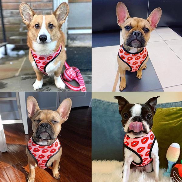 dog collars & leashes selling luxury red lip printed pet ventilation mesh out chest back traction kit funny fashion apparel accessories soft
dog collars & leashes selling luxury red lip printed pet ventilation mesh out chest back traction kit funny fashion apparel accessories soft