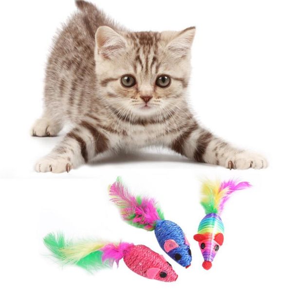 cat toys 3/4 pcs interactive toy set pet funny teeth grinding assort mice teaser plush mini mouse
cat toys 3/4 pcs interactive toy set pet funny teeth grinding assort mice teaser plush mini mouse
