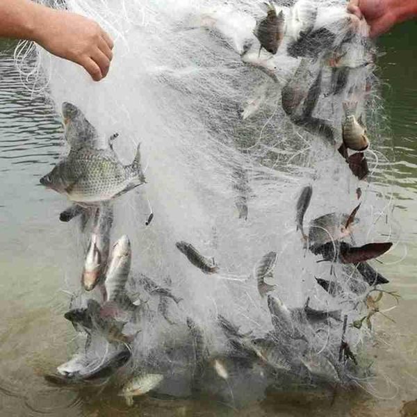 fishing accessories net single mesh nylon durable float trap monofilament gill floating for hand casting
fishing accessories net single mesh nylon durable float trap monofilament gill floating for hand casting