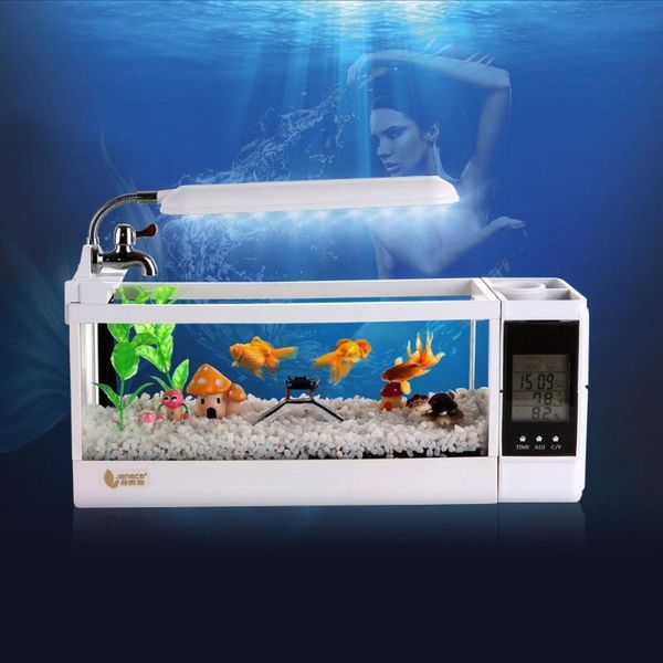 aquariums mini betta fish tanks aquarium led lighting tank with pen holder lcd display screen and clock pecera
aquariums mini betta fish tanks aquarium led lighting tank with pen holder lcd display screen and clock pecera