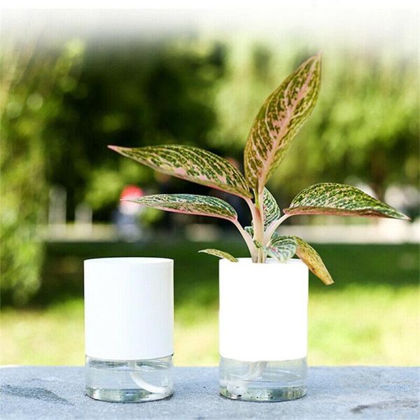 home decor vase plants flower pot auto watering self irrigation hydroponic water storage simple deskaccessories vases
home decor vase plants flower pot auto watering self irrigation hydroponic water storage simple deskaccessories vases