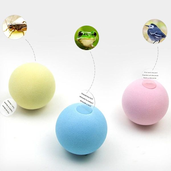 realistic chirping balls cat toy lifelike animal sounds interactive kicker fun kitty kitten catnip toys for exercise
realistic chirping balls cat toy lifelike animal sounds interactive kicker fun kitty kitten catnip toys for exercise