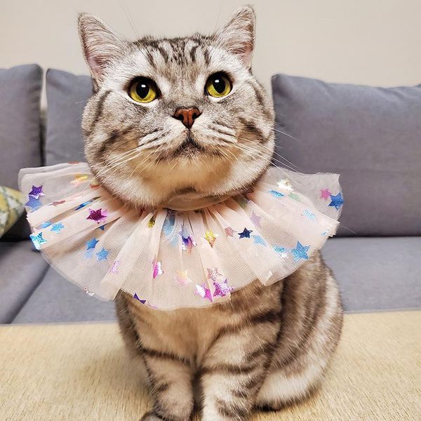 cat costumes pet saliva towel colorful star yarn bib scarf bichon triangular binder small dog bandana
cat costumes pet saliva towel colorful star yarn bib scarf bichon triangular binder small dog bandana