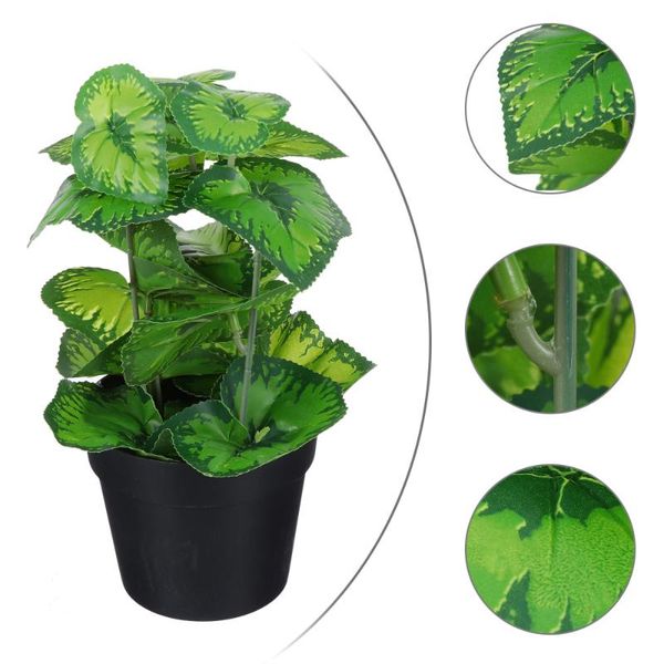 decorative flowers & wreaths realistic faux begonia rex bonsai simulation greenery potted plant for office
decorative flowers & wreaths realistic faux begonia rex bonsai simulation greenery potted plant for office