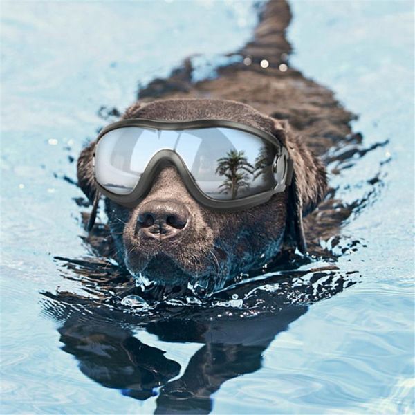 waterproof dog glasses adjustable goggles wear resistant anti-uv sunglasses windproof eye-wear protection pet supplies apparel
waterproof dog glasses adjustable goggles wear resistant anti-uv sunglasses windproof eye-wear protection pet supplies apparel