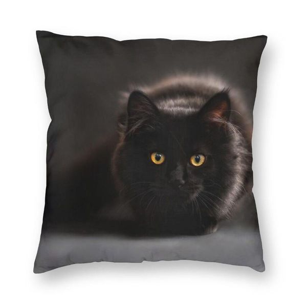 cushion/decorative pillow black cat square case cushions for sofa lover cute animal kitty pets novelty cushion covers
cushion/decorative pillow black cat square case cushions for sofa lover cute animal kitty pets novelty cushion covers