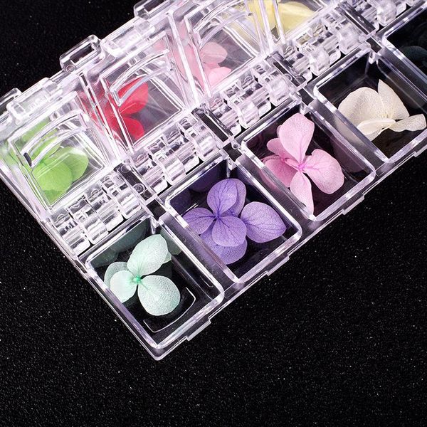 nail art decorations 1 case dry flowers daisy decal leaf natural dried petal decor real flora gel polish manicure tools, Silver;gold
nail art decorations 1 case dry flowers daisy decal leaf natural dried petal decor real flora gel polish manicure tools, Silver;gold
