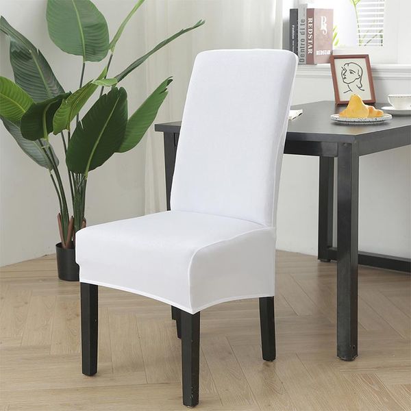 soft chair cover spandex fabric covers slipcovers protection for dining room kitchen wedding banquet
soft chair cover spandex fabric covers slipcovers protection for dining room kitchen wedding banquet