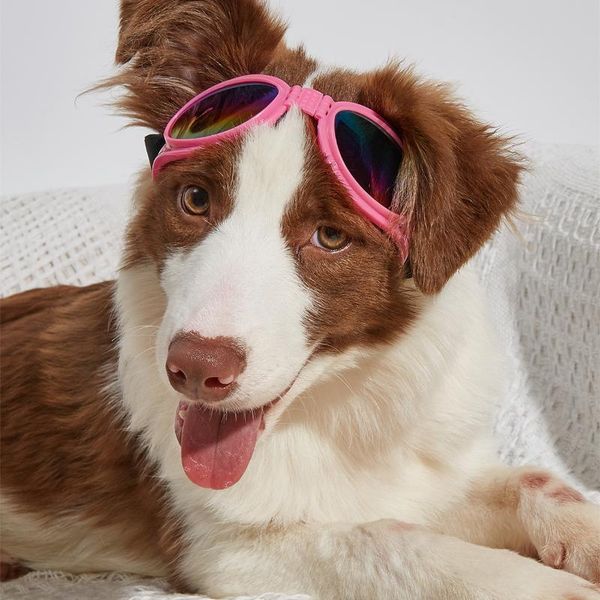 cat collars & leads dog sunglasses pet glasses, adjustable head and chin straps, eye wear protection for small to medium dog
cat collars & leads dog sunglasses pet glasses, adjustable head and chin straps, eye wear protection for small to medium dog