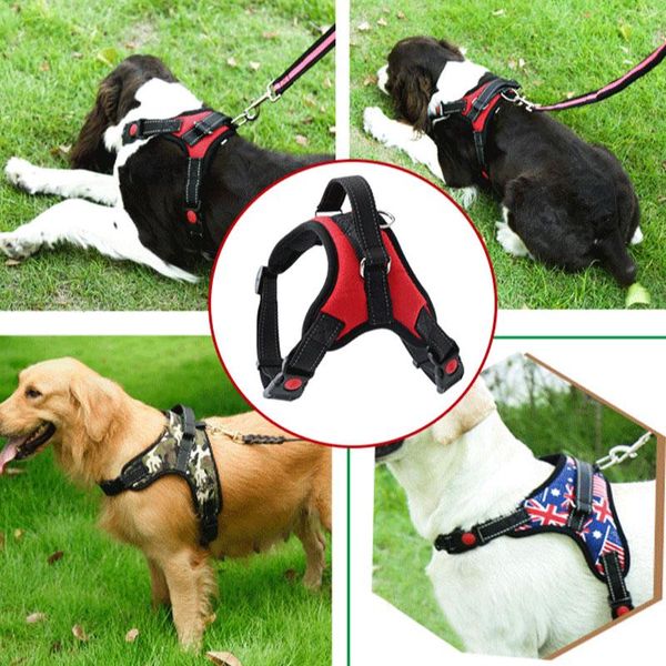 dog collars & leashes pet products leash chain explosion-proof bone chest strap factory outlet
dog collars & leashes pet products leash chain explosion-proof bone chest strap factory outlet