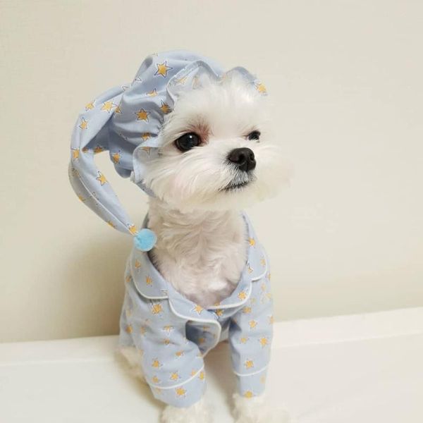 dog apparel pet air-conditioning suit with star elements cute pajamas suitable for small dogs such as pomeranian
dog apparel pet air-conditioning suit with star elements cute pajamas suitable for small dogs such as pomeranian