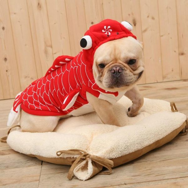 dog apparel christmas pet clothes cute goldfish cosplay costume for small medium xmas symbolize good luck
dog apparel christmas pet clothes cute goldfish cosplay costume for small medium xmas symbolize good luck
