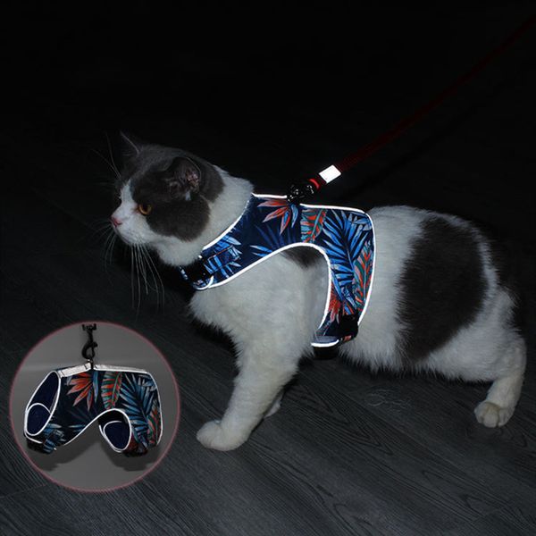 cat collars harness with identity card vest walking lead leash for kitten halter collar polyester mesh cats products
cat collars harness with identity card vest walking lead leash for kitten halter collar polyester mesh cats products