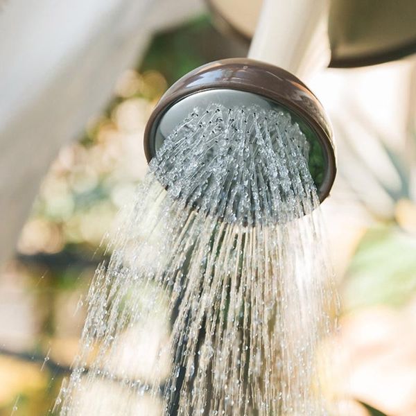 watering equipments 1 gallon garden can with sprinkler head 4l spray bottle pot for indoor outdoor plant flower
watering equipments 1 gallon garden can with sprinkler head 4l spray bottle pot for indoor outdoor plant flower