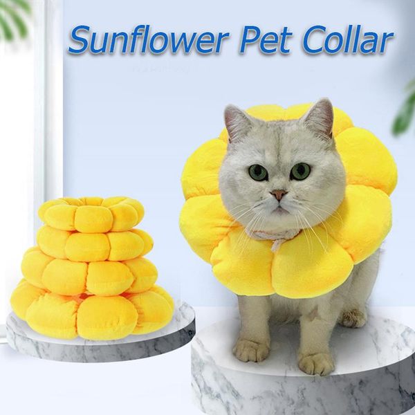 dog collars & leashes pet sunflower shaped elizabethan protective collar cat and neck ring hood anti-scratch anti-lick headgear
dog collars & leashes pet sunflower shaped elizabethan protective collar cat and neck ring hood anti-scratch anti-lick headgear