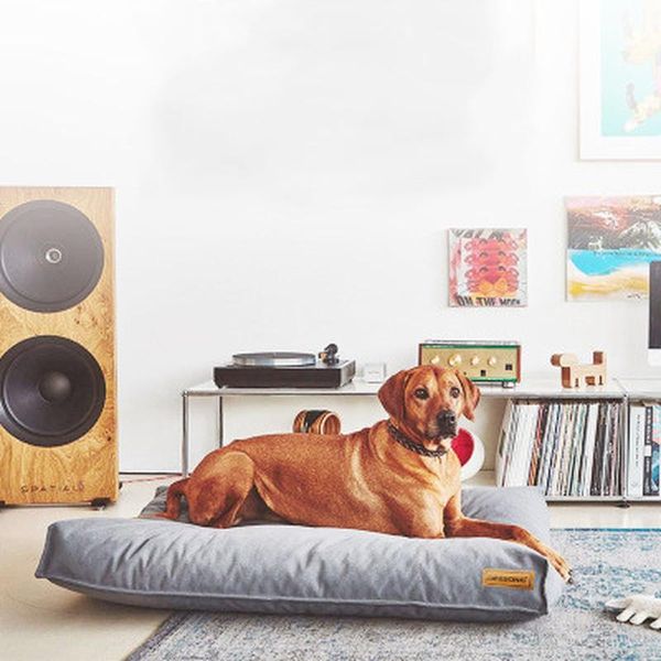 kennels & pens big dog house bed thick bite resistant universal golden retriever sleeping pad removable and washable pet cotton
kennels & pens big dog house bed thick bite resistant universal golden retriever sleeping pad removable and washable pet cotton
