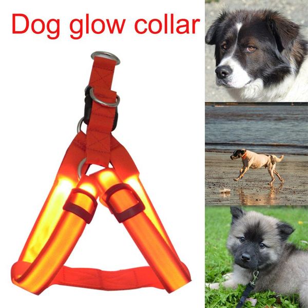 dog collars & leashes glow collar rechargeable led safe chest strap pet supplies vest aia99
dog collars & leashes glow collar rechargeable led safe chest strap pet supplies vest aia99