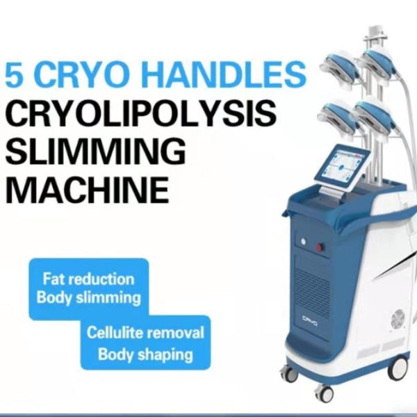 5 handles cool cryotherapy sculpting cavitation rf machines body slimming vacuum chin head for cryolipolysis 360
5 handles cool cryotherapy sculpting cavitation rf machines body slimming vacuum chin head for cryolipolysis 360