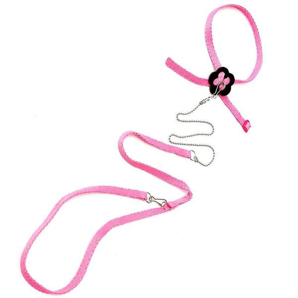 dog collars & leashes bird parrot accessories cable harness leash tapes adjustable training control line soft
dog collars & leashes bird parrot accessories cable harness leash tapes adjustable training control line soft
