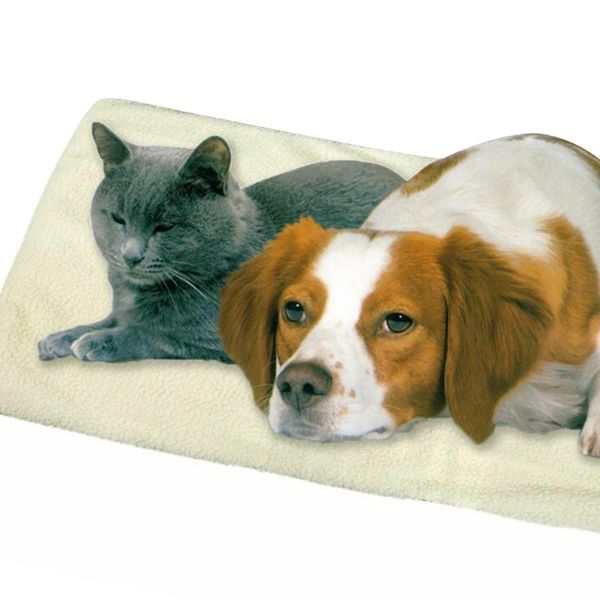 90*60cm large size dog bed self heating pets winter warm pad cats comfortable heated warming mat 2021 sell 3 kennels & pens
90*60cm large size dog bed self heating pets winter warm pad cats comfortable heated warming mat 2021 sell 3 kennels & pens
