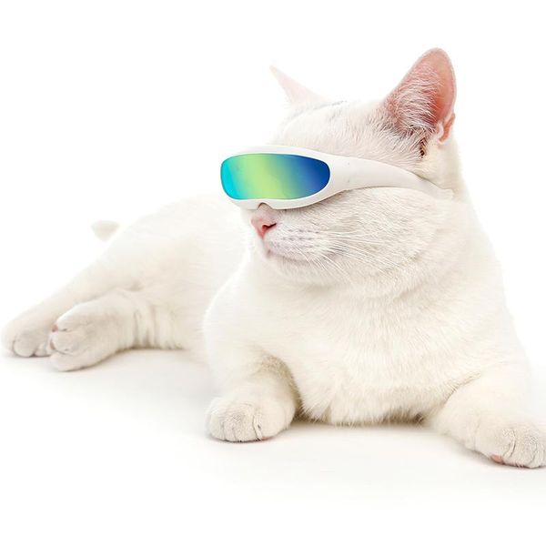 cat costumes pet cute glasses sun dog teddy personality funny dress up sunglasses supply decoration props accessories
cat costumes pet cute glasses sun dog teddy personality funny dress up sunglasses supply decoration props accessories