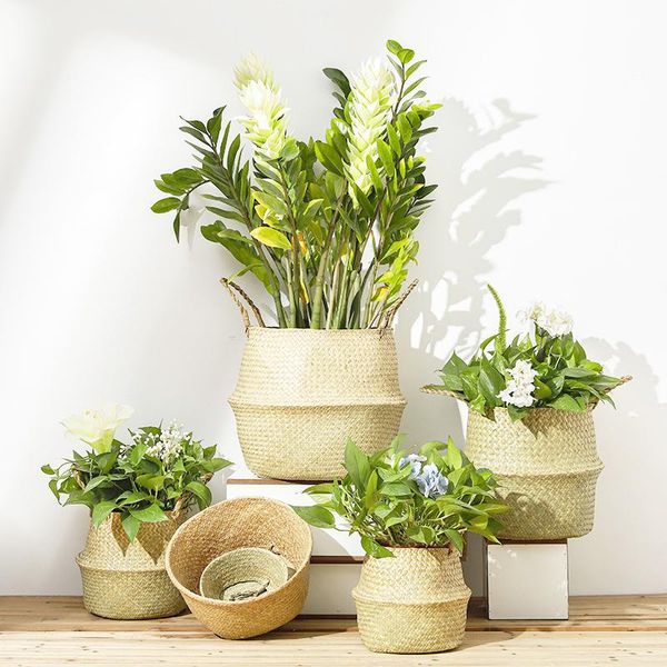 storage baskets wicker basket organizer folding rattan seagrass handmade clothes laundry woven indoor plant flower pot
storage baskets wicker basket organizer folding rattan seagrass handmade clothes laundry woven indoor plant flower pot