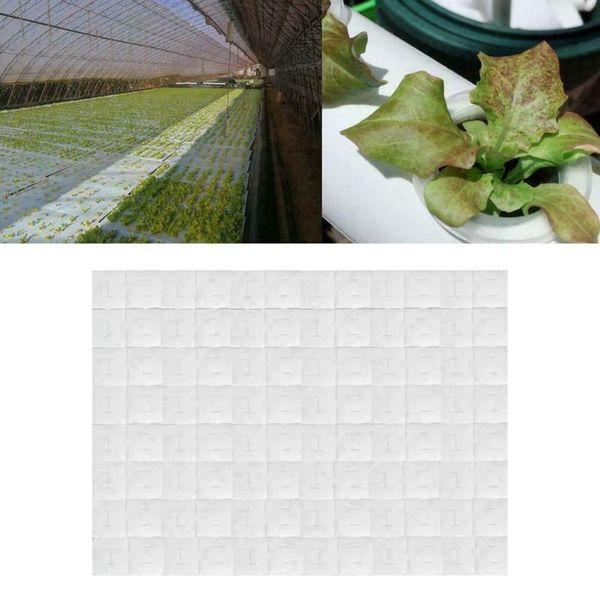 planters & pots 96pcs/set insert soilless planting breathable square seedlings vegetable cultivation cubes home growing media hydroponic spo
planters & pots 96pcs/set insert soilless planting breathable square seedlings vegetable cultivation cubes home growing media hydroponic spo
