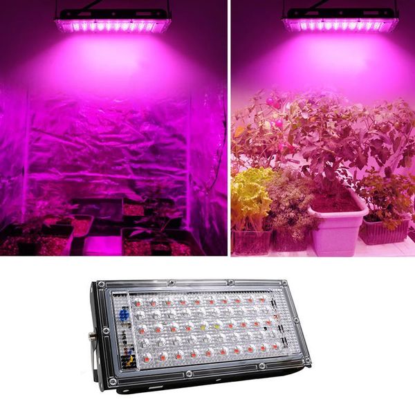 grow light ac220v 50w led full spectrum floodlight indoor outdoor greenhouse plant growing lamps hydroponic spotlight lights
grow light ac220v 50w led full spectrum floodlight indoor outdoor greenhouse plant growing lamps hydroponic spotlight lights