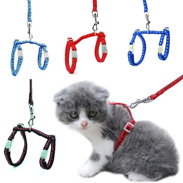 cat collars & leads 2 pieces/lot harness leash adjustable collar for kitten puppy small pet outdoor walking
cat collars & leads 2 pieces/lot harness leash adjustable collar for kitten puppy small pet outdoor walking