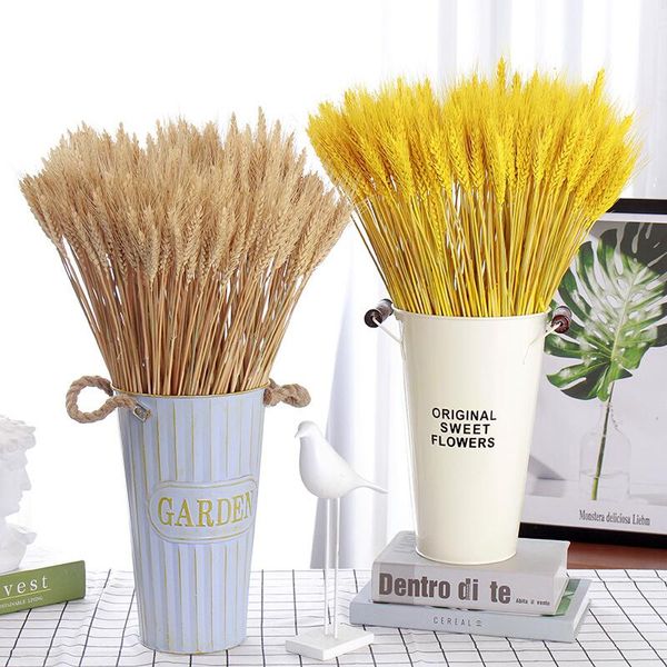 decorative flowers & wreaths selling 50pcs golden natural dried wheat stalk bouquet shooting props
decorative flowers & wreaths selling 50pcs golden natural dried wheat stalk bouquet shooting props